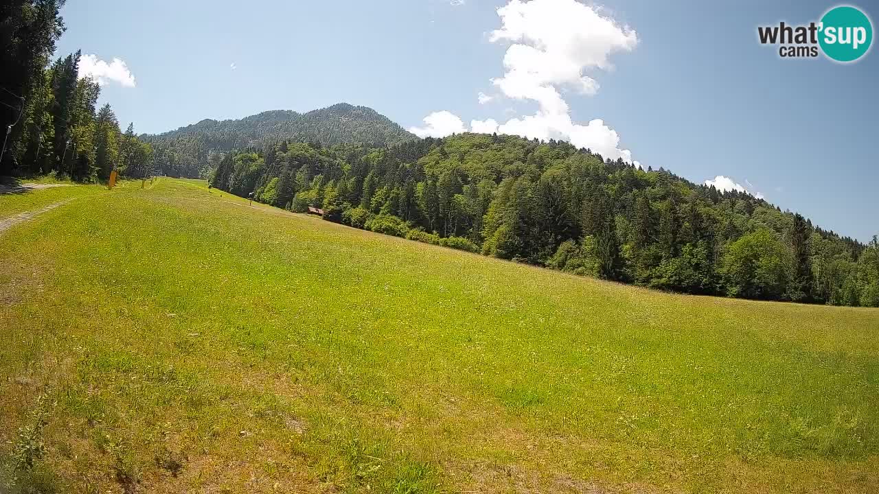 Ski Kranjska Gora | Brsnina