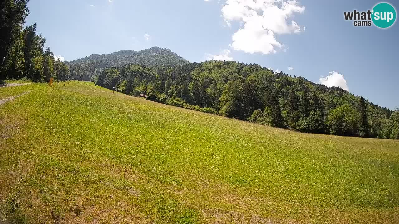 Ski Kranjska Gora | Brsnina
