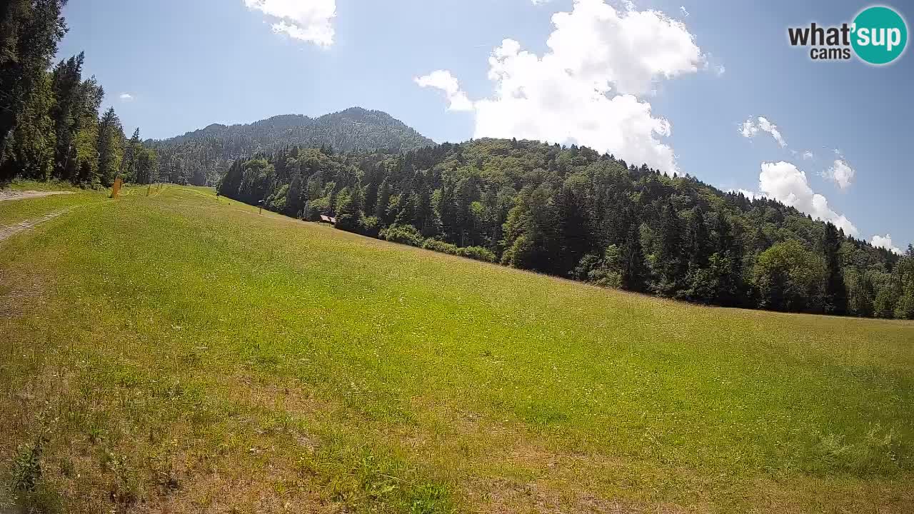 Ski Kranjska Gora | Brsnina