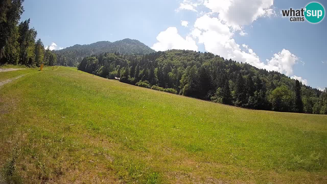 Ski Kranjska Gora | Brsnina