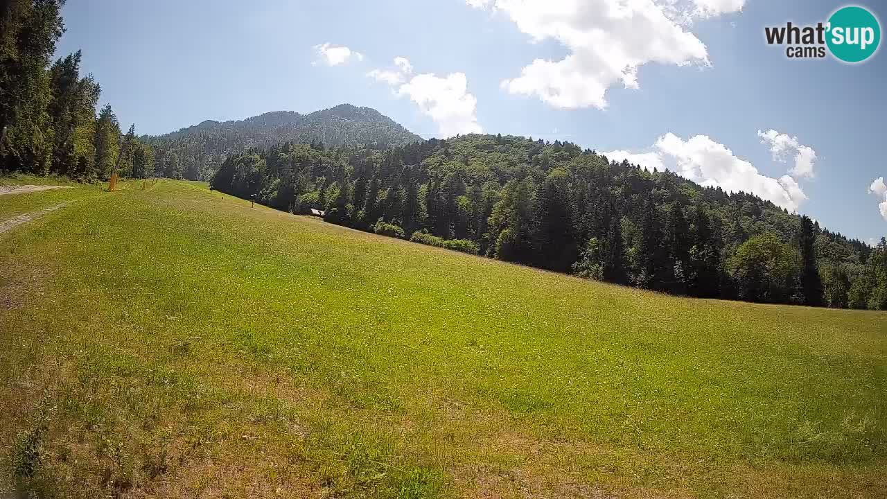 Comprensorio sciistico Kranjska Gora | Brsnina