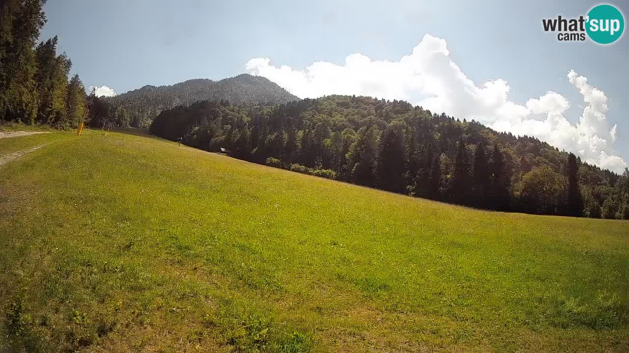 Ski Kranjska Gora | Brsnina