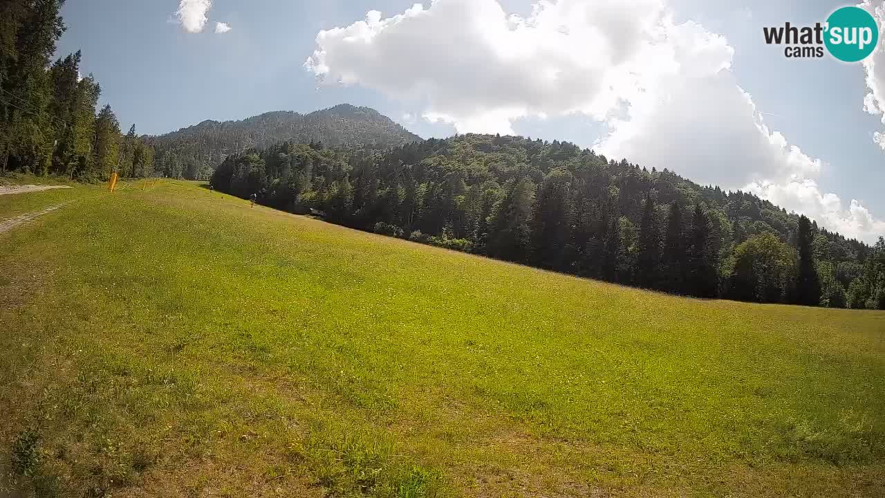 Comprensorio sciistico Kranjska Gora | Brsnina