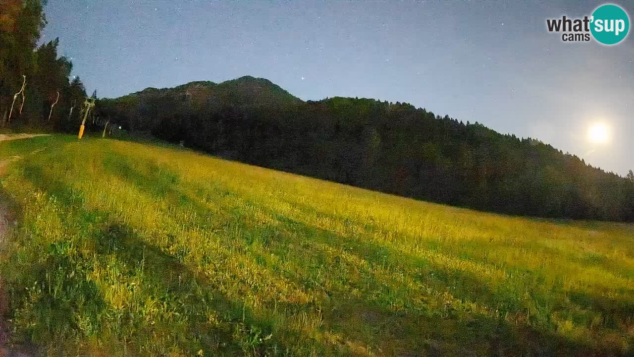 Ski Kranjska Gora | Brsnina