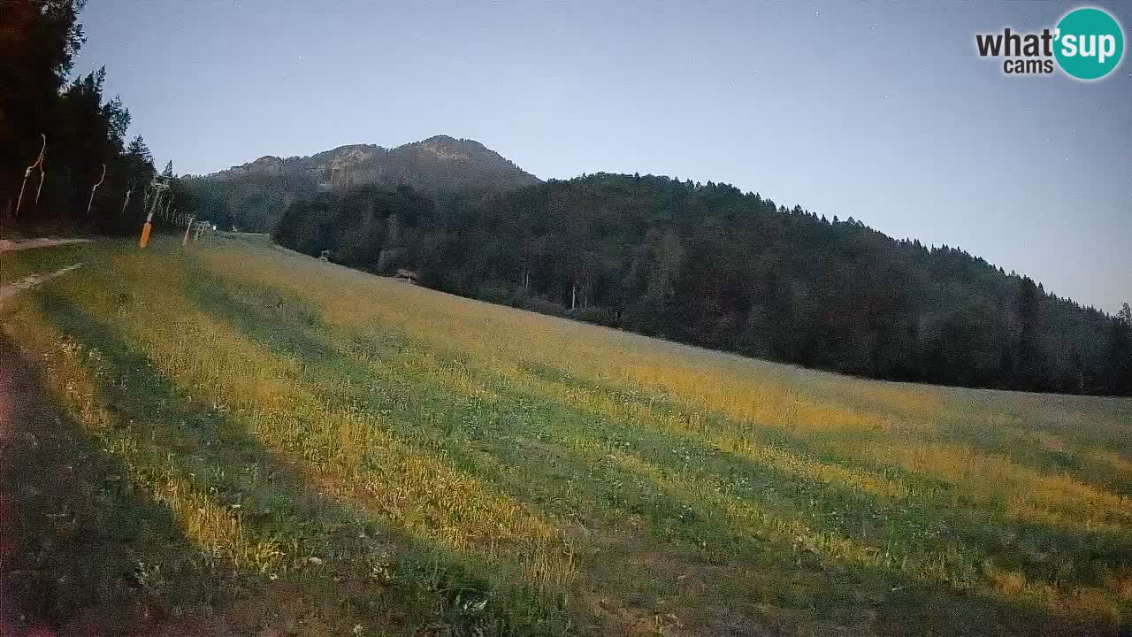 Kranjska Gora SKIJANJE | Brsnina