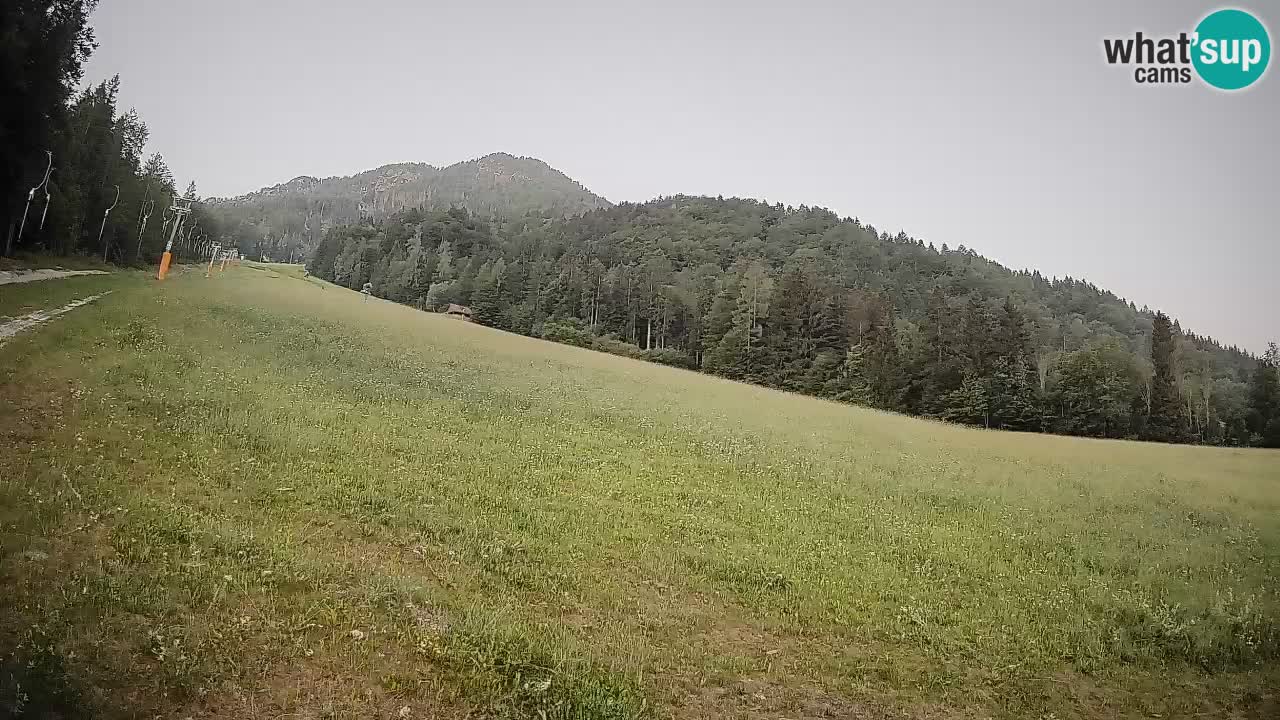 Kranjska Gora Station de ski | Brsnina