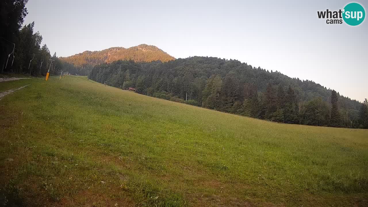 Esquí Kranjska Gora | Brsnina