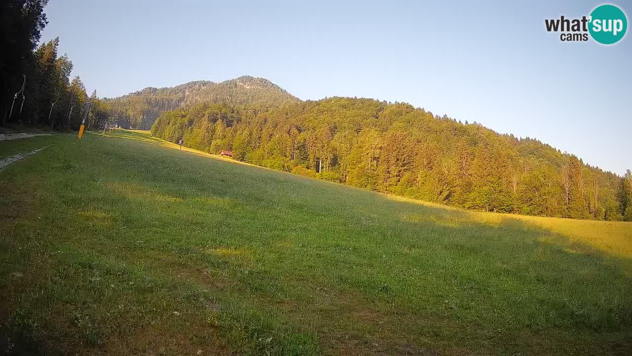 Ski Kranjska Gora | Brsnina