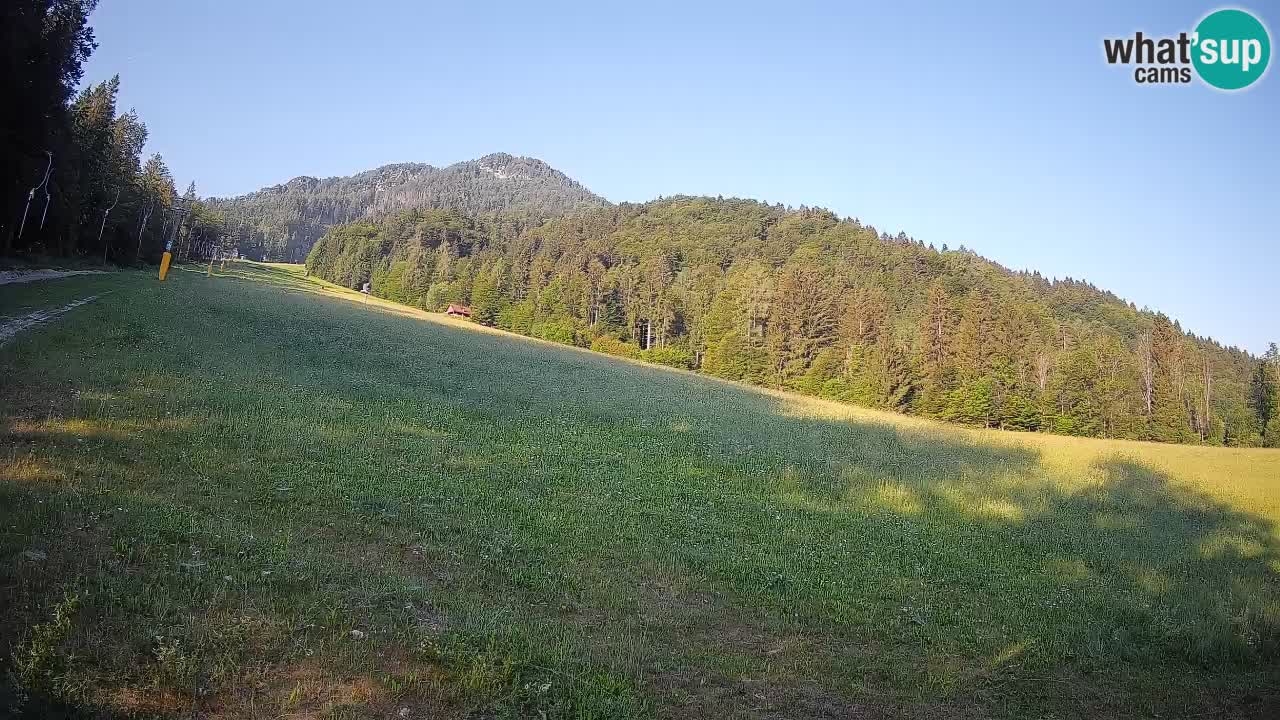 Kranjska Gora Station de ski | Brsnina