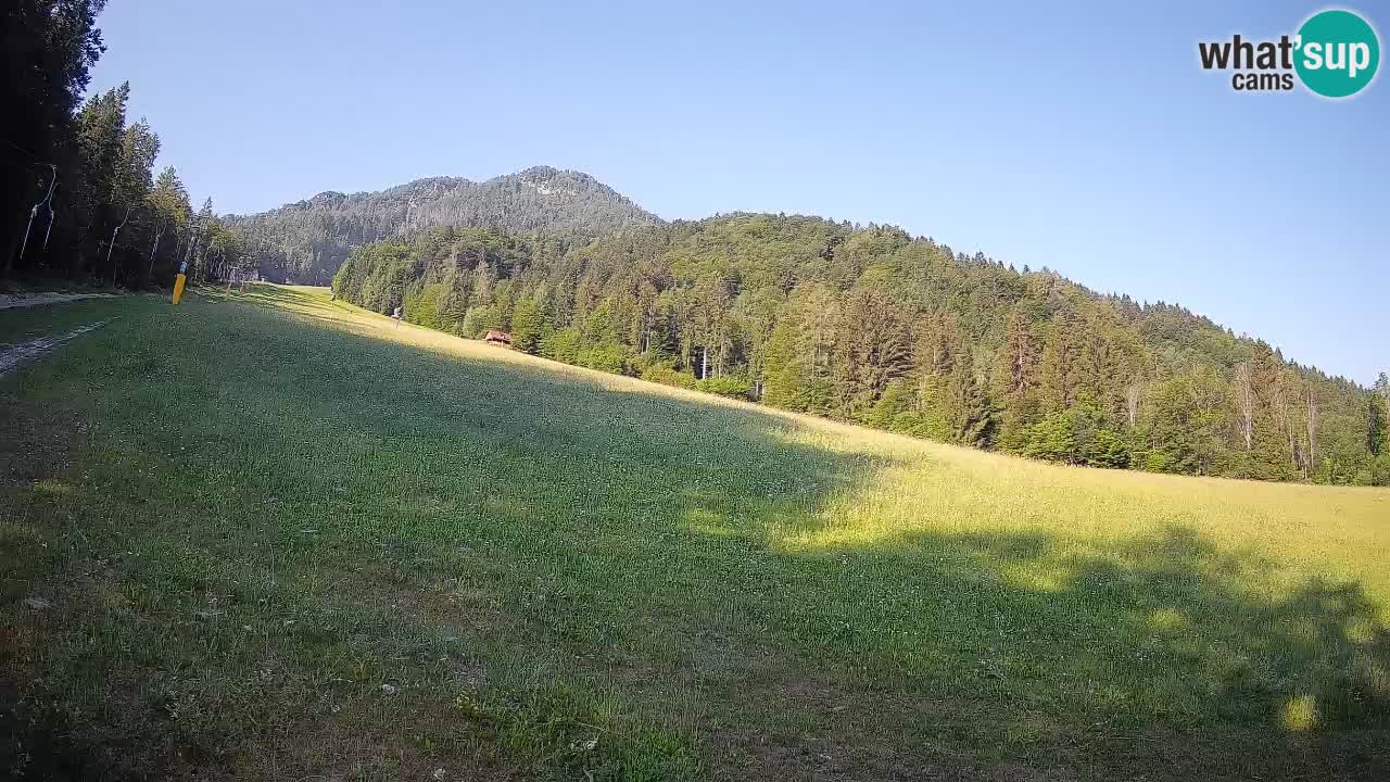RTC Skigebiet Kranjska Gora | Brsnina
