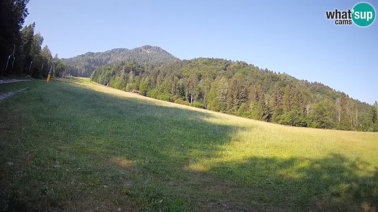 Esquí Kranjska Gora | Brsnina