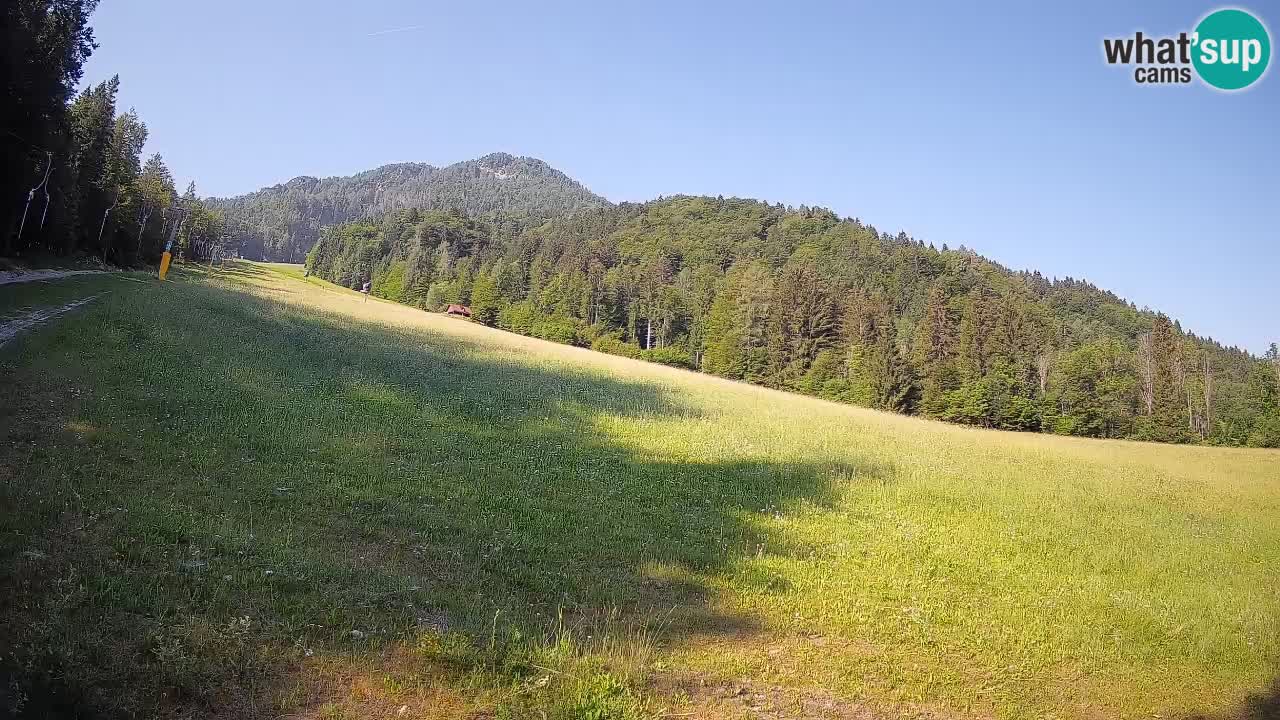 RTC Skigebiet Kranjska Gora | Brsnina