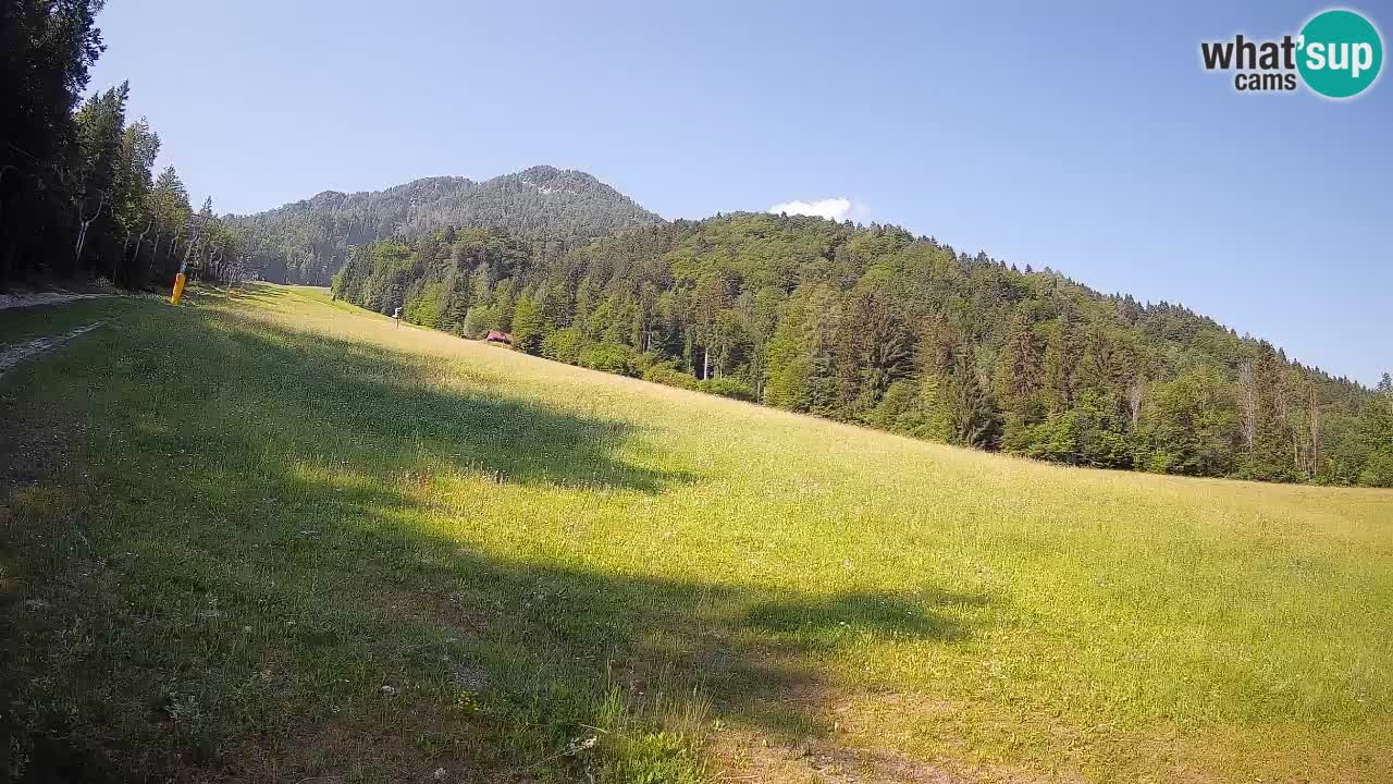 Ski Kranjska Gora | Brsnina