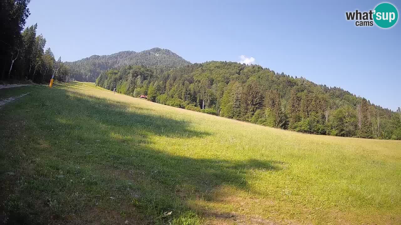 RTC Kranjska Gora | Brsnina