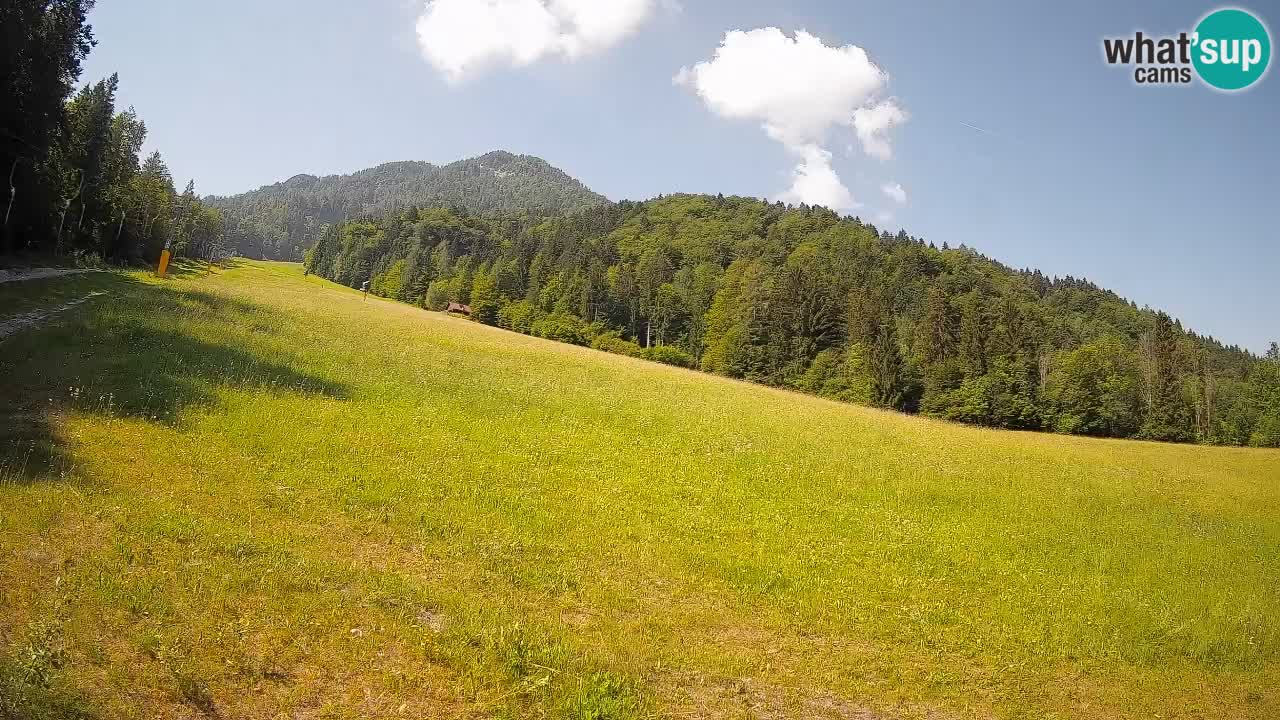 RTC Skigebiet Kranjska Gora | Brsnina