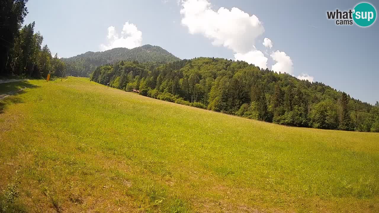 RTC Skigebiet Kranjska Gora | Brsnina