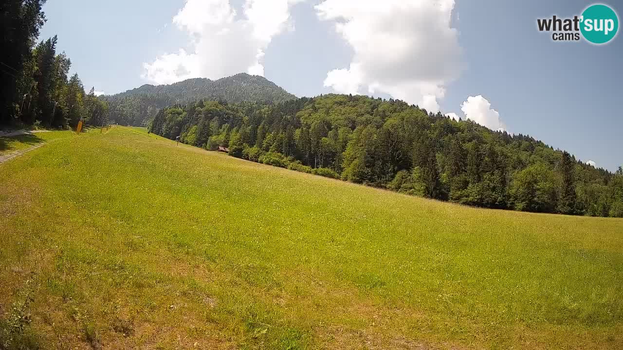 Ski Kranjska Gora | Brsnina