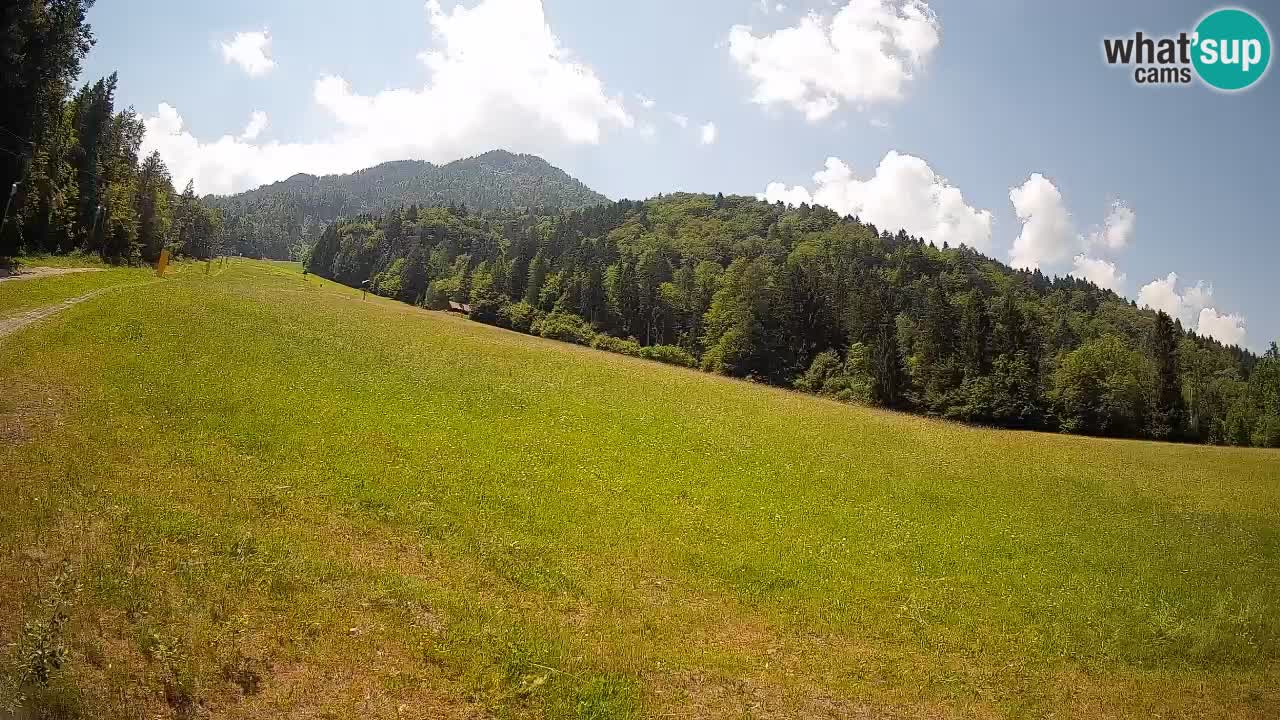 Kranjska Gora SKIJANJE | Brsnina