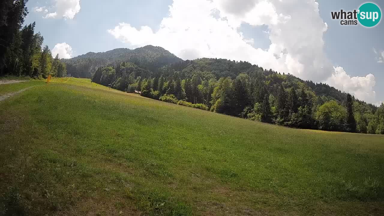 Kranjska Gora Station de ski | Brsnina
