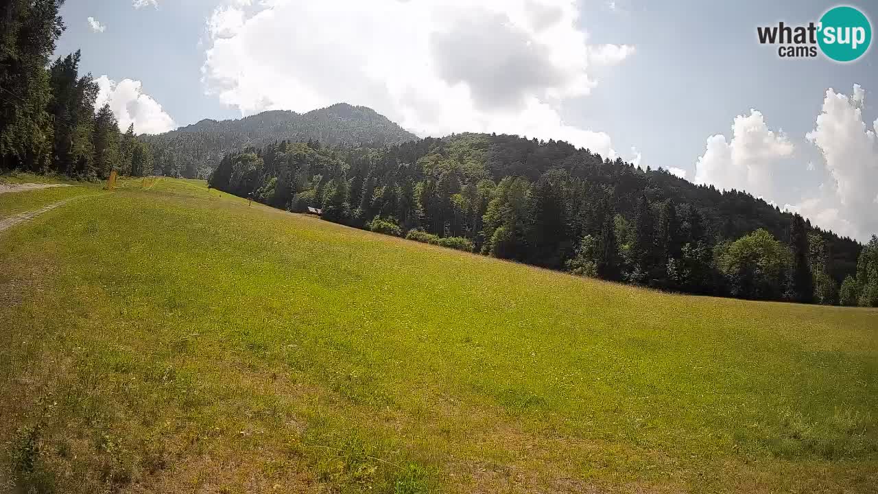 RTC Kranjska Gora | Brsnina