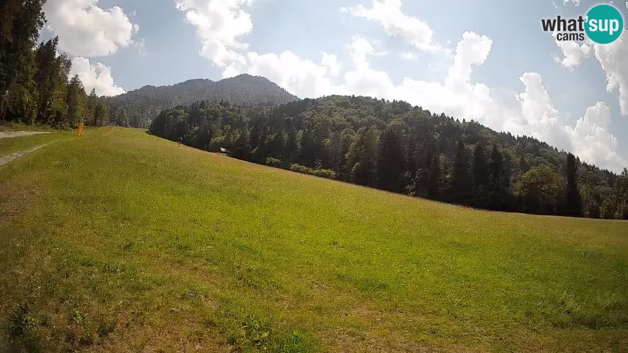 Ski Kranjska Gora | Brsnina