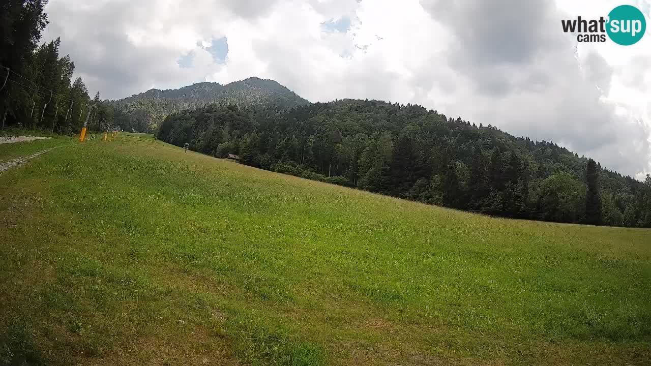 Kranjska Gora Station de ski | Brsnina
