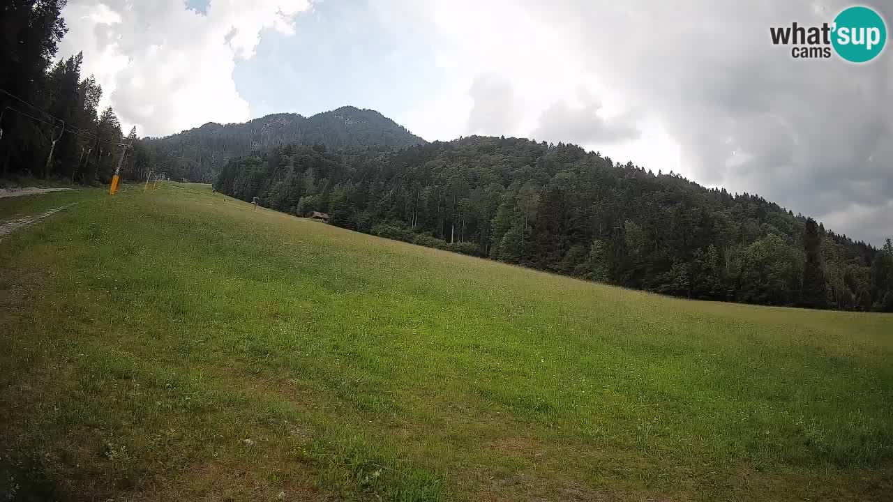 RTC Skigebiet Kranjska Gora | Brsnina