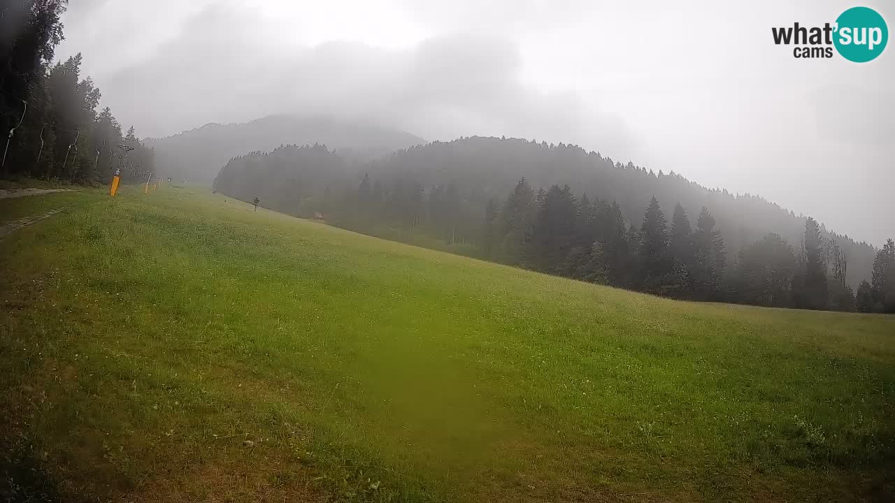 RTC Skigebiet Kranjska Gora | Brsnina