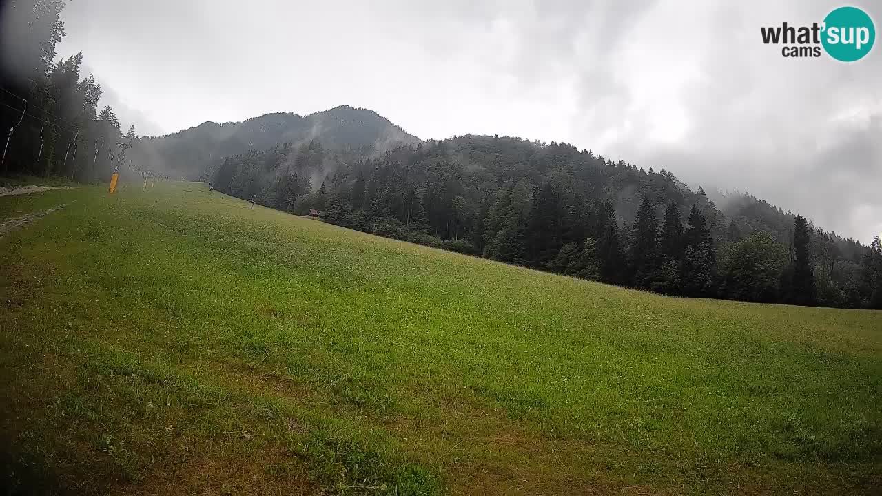 Ski Kranjska Gora | Brsnina