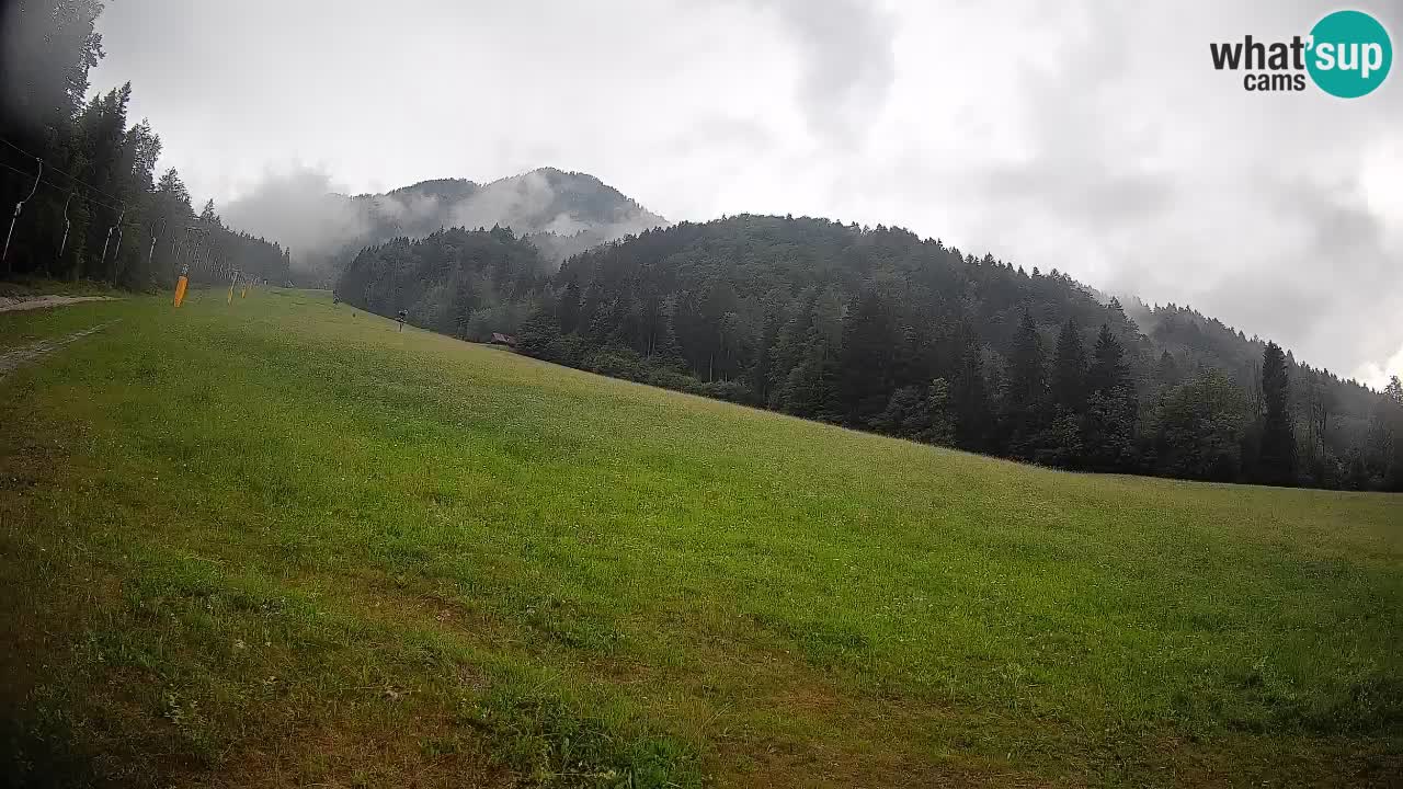 Comprensorio sciistico Kranjska Gora | Brsnina