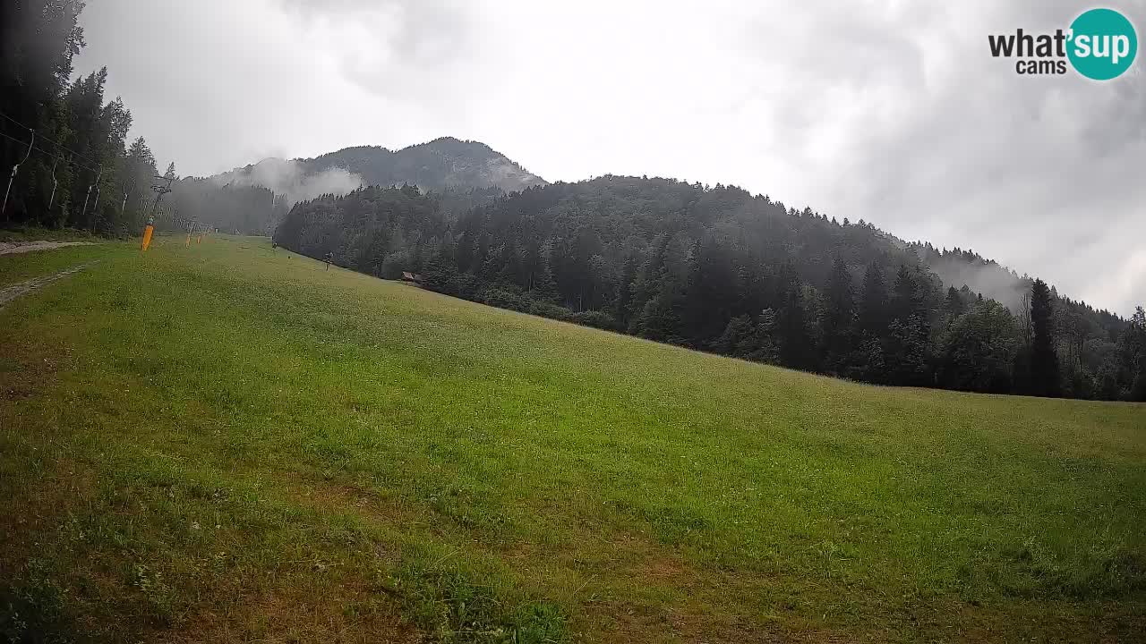Kranjska Gora SKIJANJE | Brsnina