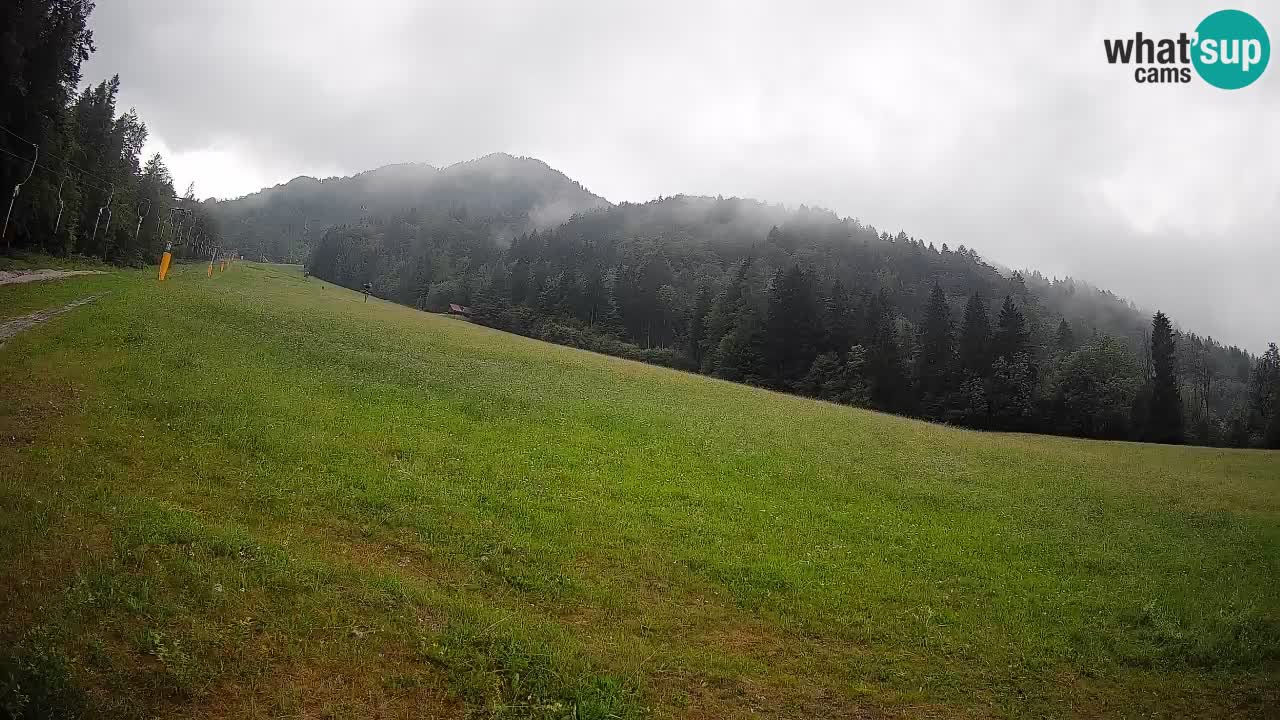 RTC Skigebiet Kranjska Gora | Brsnina