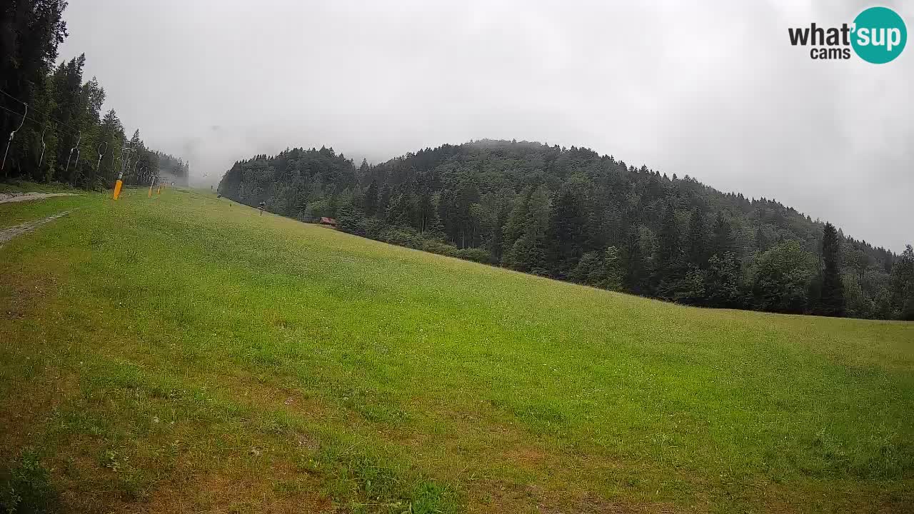 Ski Kranjska Gora | Brsnina
