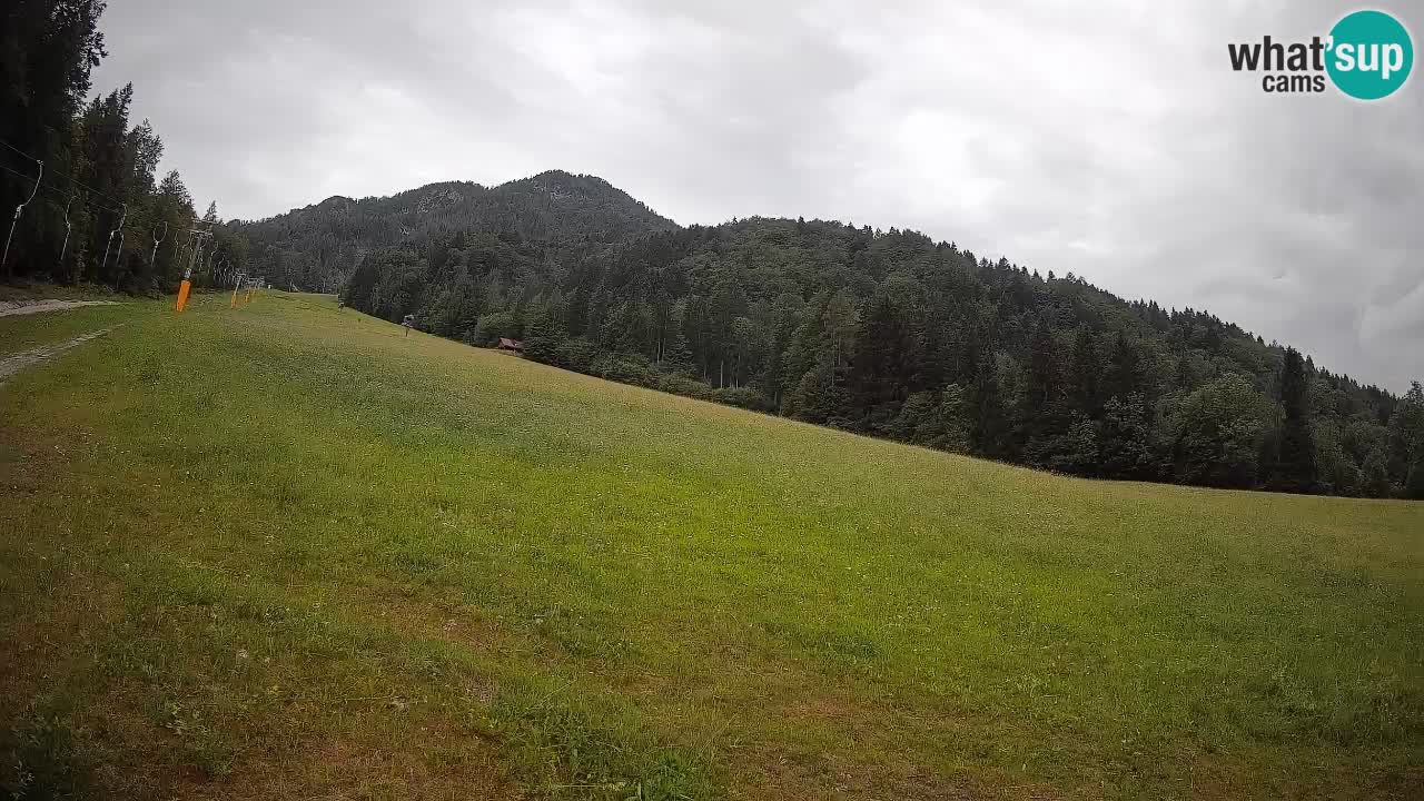 Ski Kranjska Gora | Brsnina