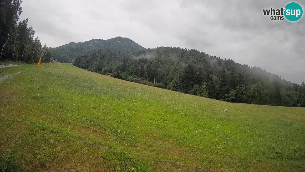 Kranjska Gora SKIJANJE | Brsnina