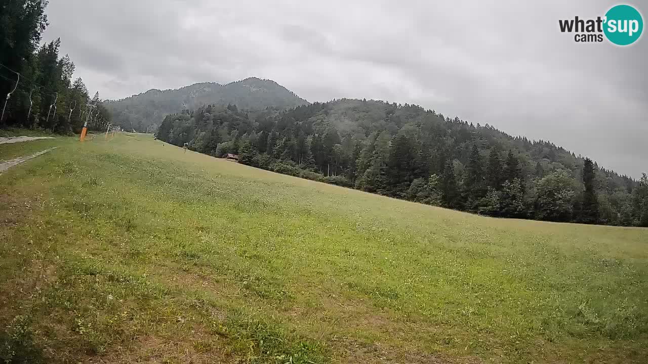 Ski Kranjska Gora | Brsnina