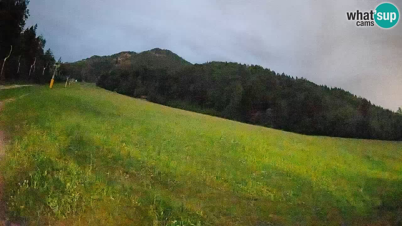 Kranjska Gora SKIJANJE | Brsnina