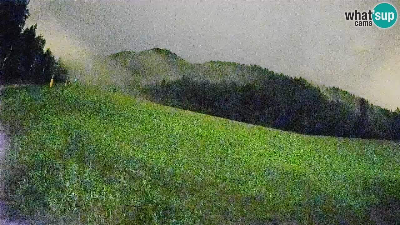 Kranjska Gora SKIJANJE | Brsnina