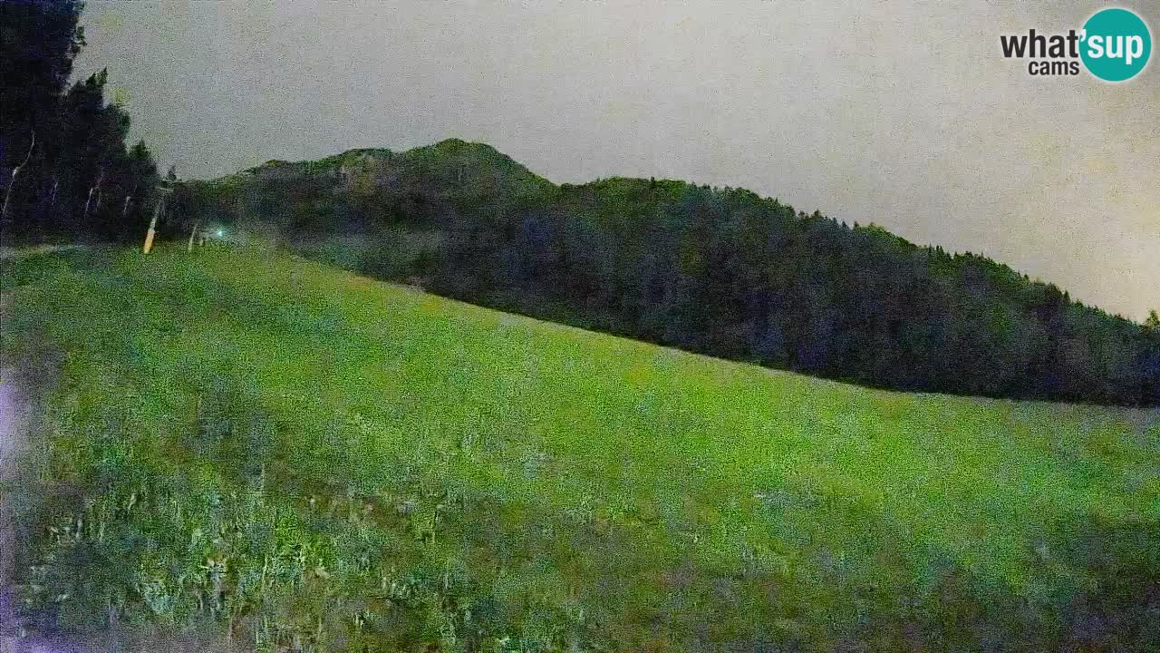 Esquí Kranjska Gora | Brsnina