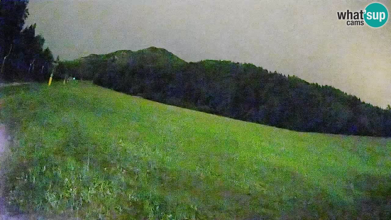 RTC Skigebiet Kranjska Gora | Brsnina
