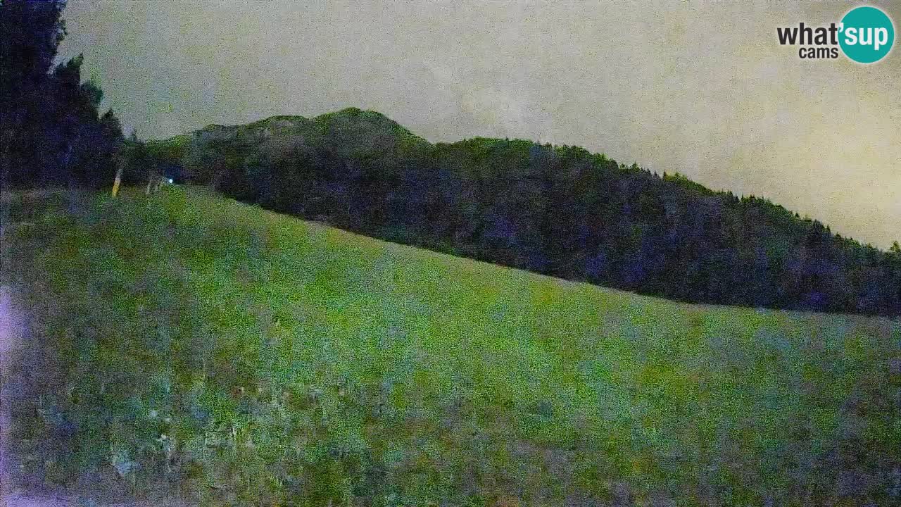 Kranjska Gora SKIJANJE | Brsnina