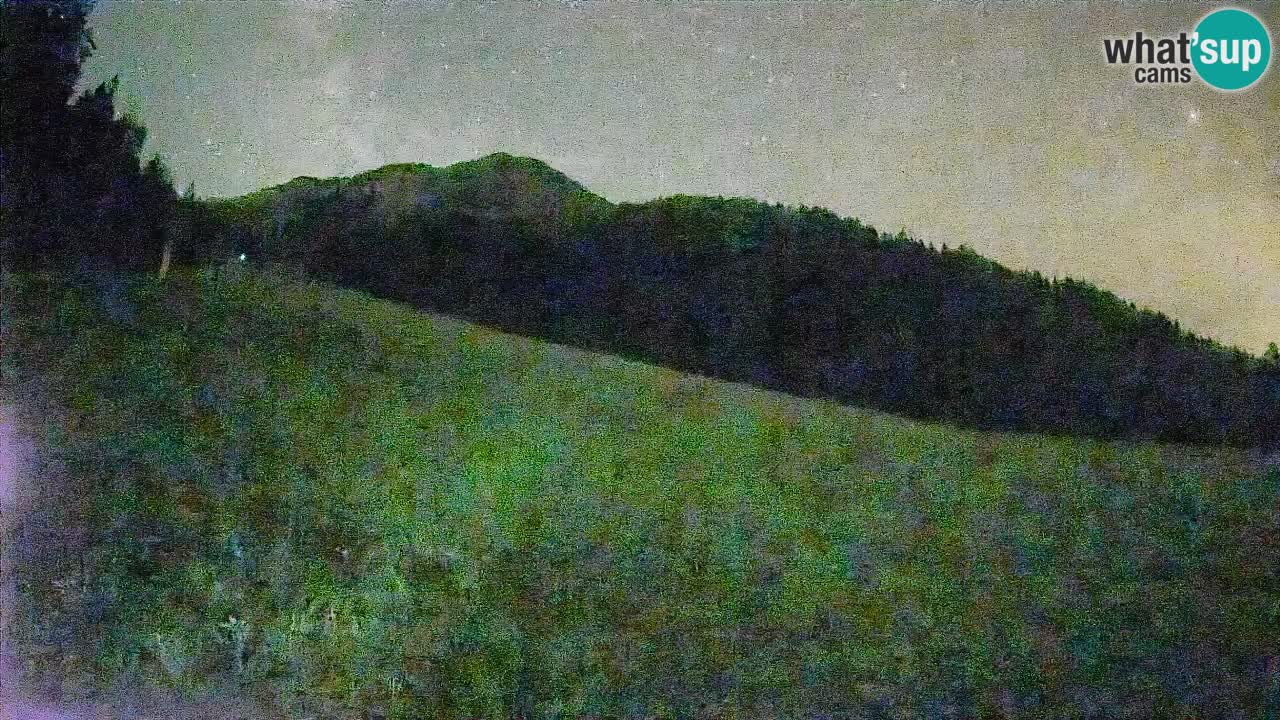 Esquí Kranjska Gora | Brsnina