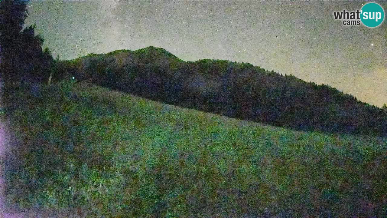 RTC Skigebiet Kranjska Gora | Brsnina