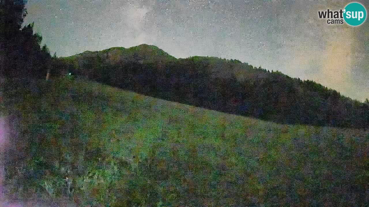 RTC Kranjska Gora | Brsnina