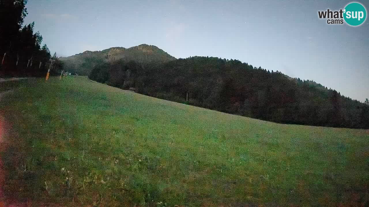 Ski Kranjska Gora | Brsnina