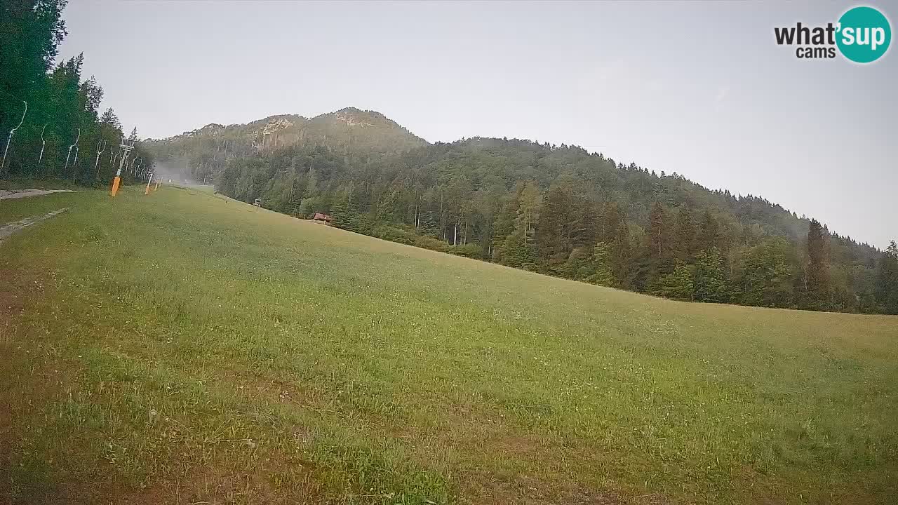 RTC Kranjska Gora | Brsnina