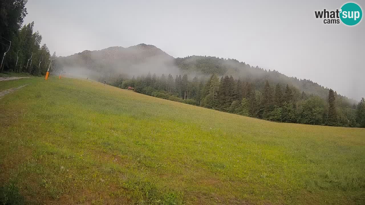 RTC Kranjska Gora | Brsnina