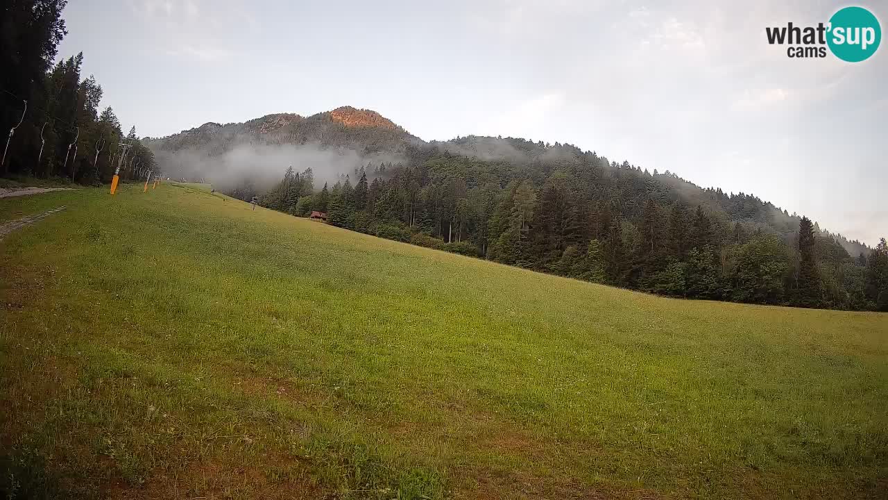 RTC Kranjska Gora | Brsnina