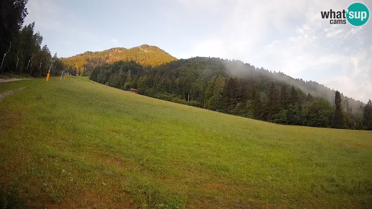 Ski Kranjska Gora | Brsnina