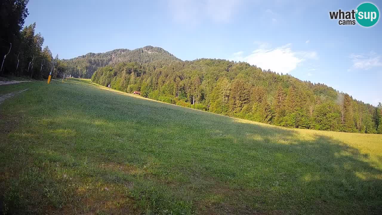 RTC Skigebiet Kranjska Gora | Brsnina